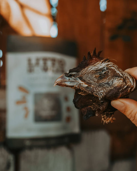 Litto Howler - Chicken Head | 6 Count