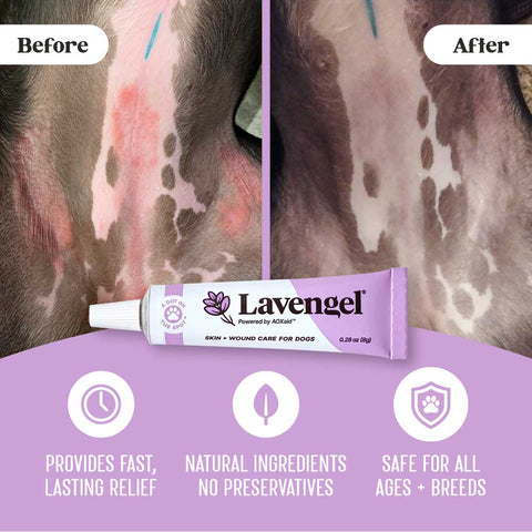 Lavengel - Lavengel - Natural Skin + Wound Care Ointment for Dogs
