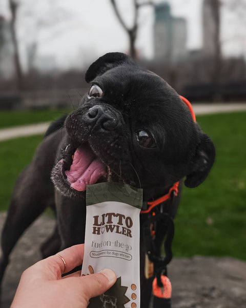 Litto Howler - Wild Venison Stick