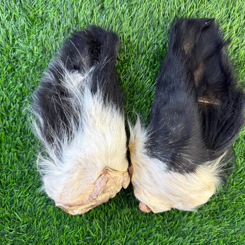 Golden Nibbles - Beef Cow Hairy Ear - Freeze-Dried Treat for Dogs