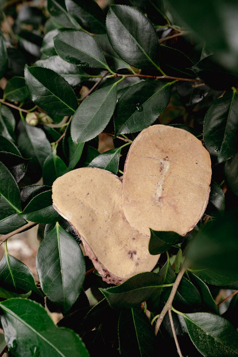 Love Liparu - BEEF TESTICLES | Freeze-Dried Dog + Cat Treat