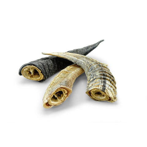 Icelandic+ - Icelandic+ Small Lamb Horn with Marrow 36-Ct Display Box