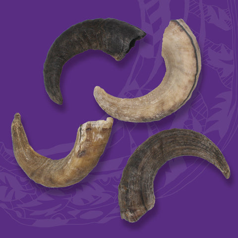 Medium chew - Lamb Horn Dog Treat