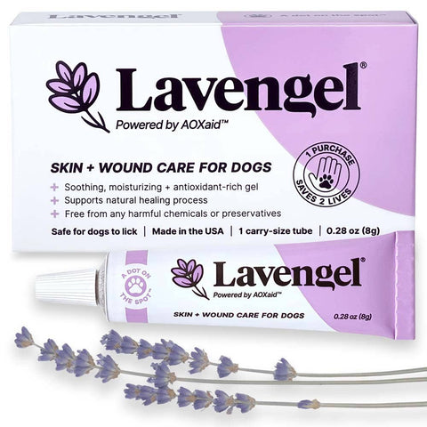 Lavengel - Lavengel - Natural Skin + Wound Care Ointment for Dogs