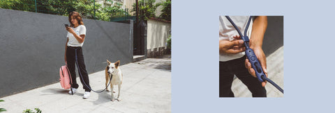 Zee.Dog - Deep Blue | Hands-Free Leash
