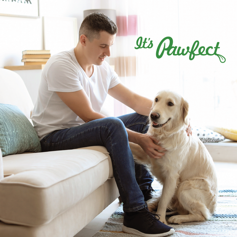 Pawfect Pet Foods Pvt Ltd - USA - Pawfect Nature's Sip Goat Milk Powder with Pomegranate & Cranberries| Easily Digestible| Pre & Probiotics| Healthy Topper| Hydration Support| Milk Replacer for Dogs