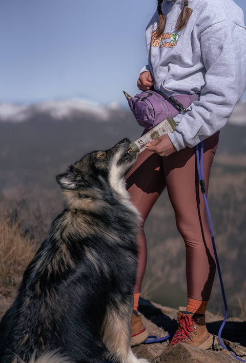 Litto Howler - Adventure Pack - Baby Blue