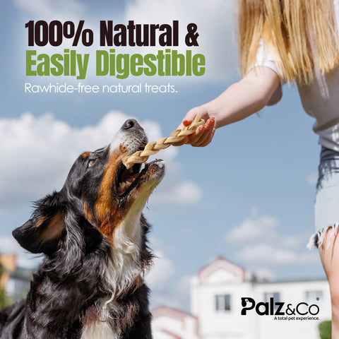 Palz&Co - Moodog Beef Braided Tendon 8", 2 Pack