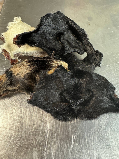 Tapia raw meats for pet food - Goat Snouts