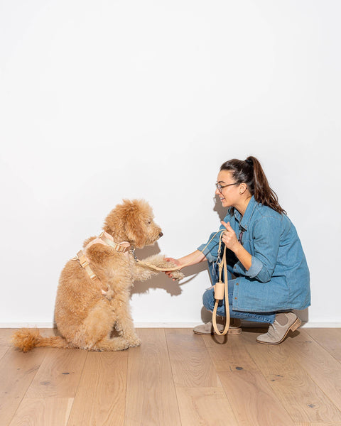 Wild One - Poop Bag Carrier