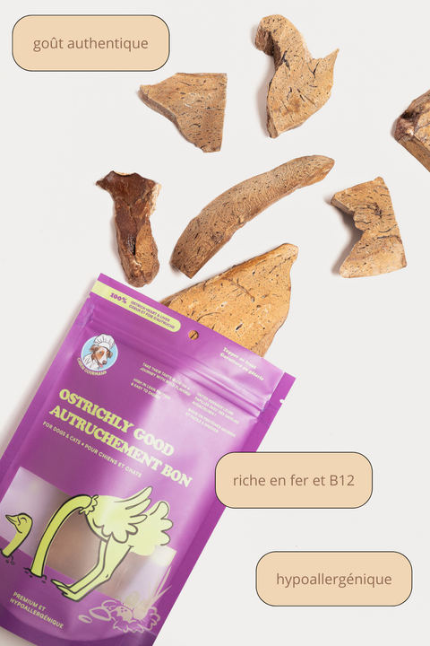 Chien Gourmand - Freeze-dried ostrich pieces