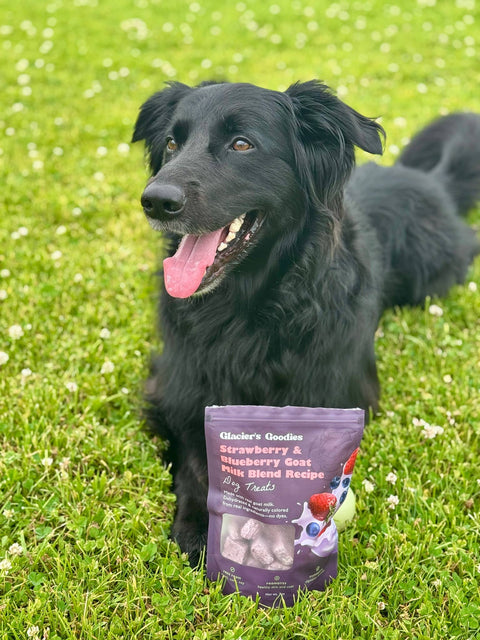 Glacier's Goodies - Goat Milk Dog Treats – Strawberry & Blueberry (7oz) 6pack