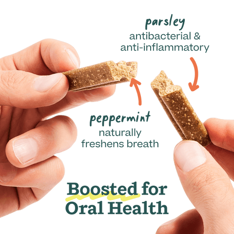 Woof - Bite n' Brush Dental Refills