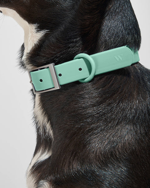 Wild One - Adjustable Waterproof Collar