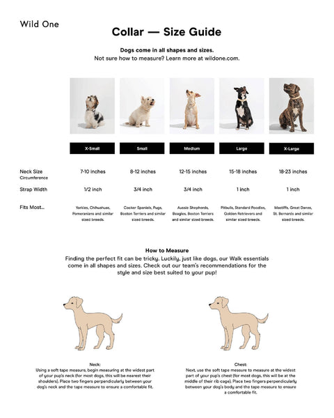 Wild One - Adjustable Waterproof Collar