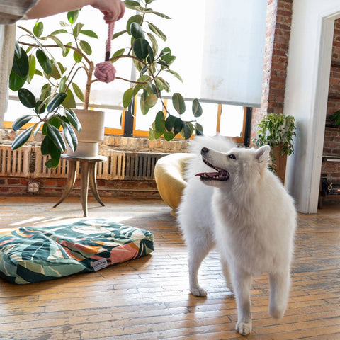 ADC Houndstone & Co. - Houndstone Large Rope Dog Toy - Grey