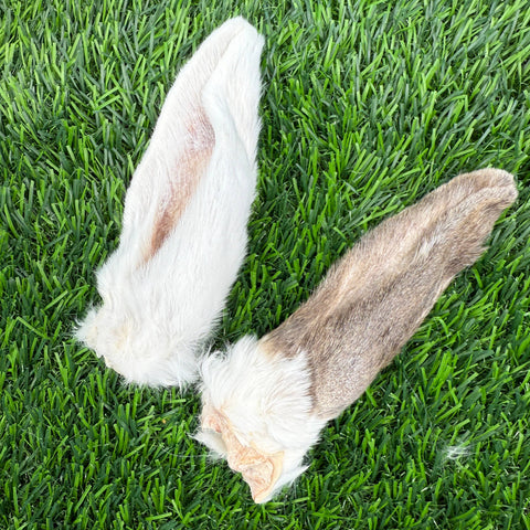 Golden Nibbles - Rabbit Ear - Freeze-Dried Treat/Chew for Dogs & Cats