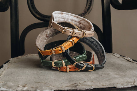 BAND&ROLL - Wool Padded Wide Dog Collar. Pine