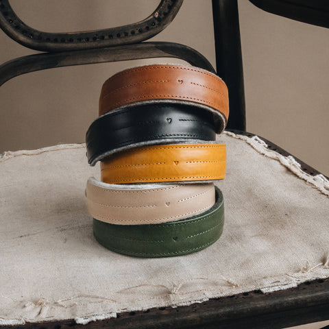 BAND&ROLL - Wool Padded Wide Dog Collar. Pine