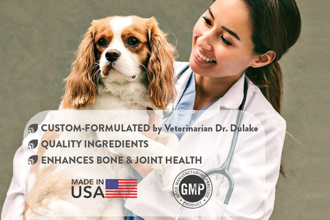 Fera Pets - Hip + Joint Support Soft Chews for Dogs Pet Supplement