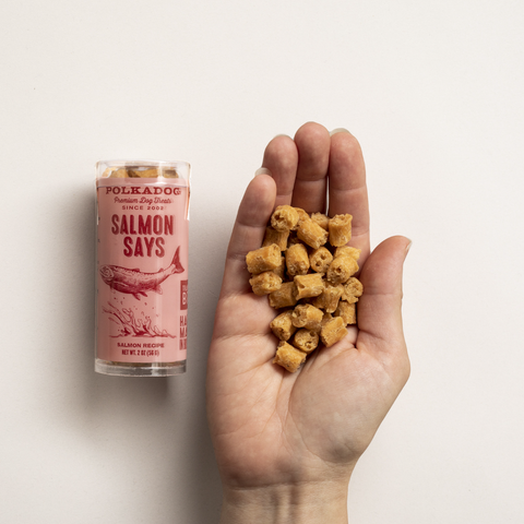 Polkadog - Mini Tube: Salmon Says, Training Bits - 2oz - Dog Treats
