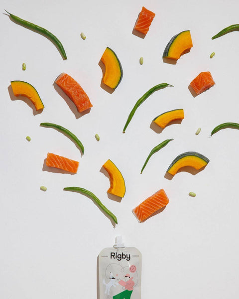 Rigby - Organic Salmon Squeeze Pouch for Dogs - 6 Pack