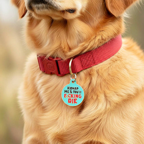 Bad Tags - Personalized Dog Collar Pet ID Tag - Kidnap Me & You Die