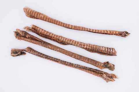 Wild n Fresh Treats - Dehydrated Lamb Trachea (4-5")
