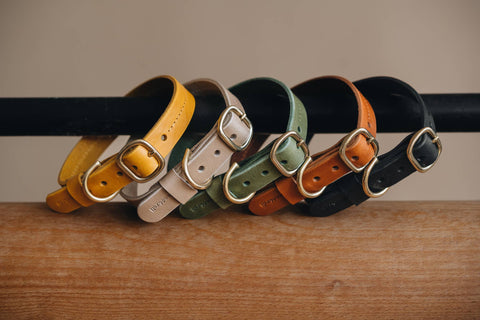 BAND&ROLL - Leather Dog Collar. Fir