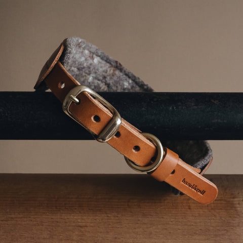 BAND&ROLL - Wool Padded Wide Dog Collar. Pine