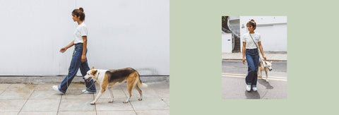 Zee.Dog - Army Green | Hands-Free Leash
