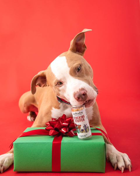 Polkadog - Holiday Mini Tube: Stocking Stuffer - Dog Treats