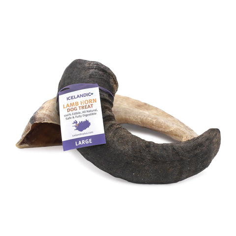 Medium chew - Lamb Horn Dog Treat