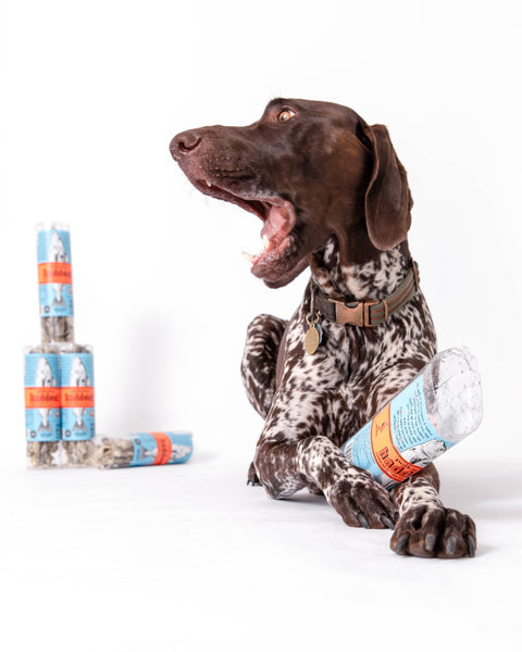 Polkadog - Haddock Skin Jerky - 2oz Tube - Dog Treats