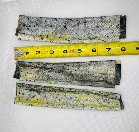 Florida Man Pet Treats - Dehydrated Mahi Mahi Dog Chew