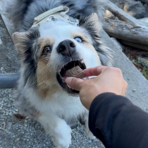 Glacier's Goodies - Goat Milk Dog Treats – Carob (7oz) 6pack