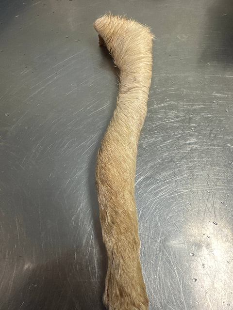 Tapia raw meats for pet food - Cow Hide Roll 