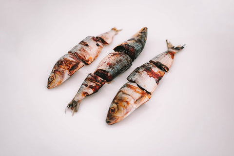 Wild n Fresh Treats - Dehydrated Sardine Chunks (Wild Caught)