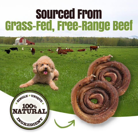 Palz&Co - Moodog Beef Bully Bun/Cap - Pack of 1