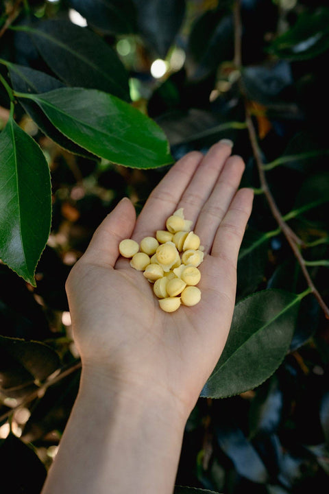 Love Liparu - EGG YOLK AND GOAT MILK | Freeze-Dried Dog + Cat Treat