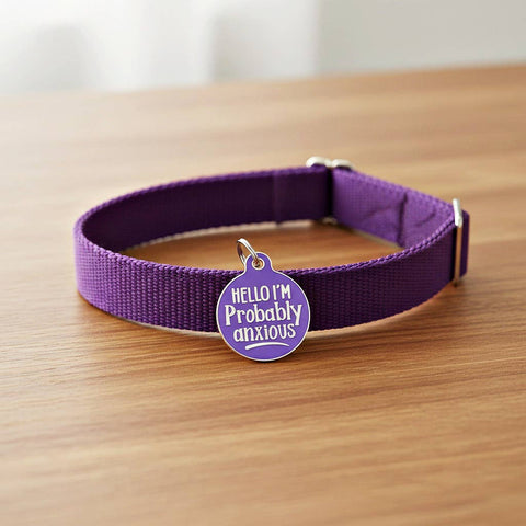 Bad Tags - Dog ID Tag with Personalized QR Code - Hello I'm Anxious